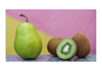 Morning Kiss Organic kicks off imported pear season