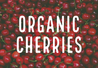 Organics strengthen position in Northwest cherry deal