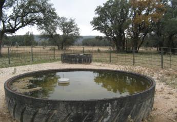 Study Shows No Difference in Cattle Gains Between Well and Pond Water
