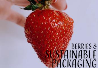 Berry industry on board with sustainable packaging