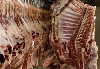 Steiner: Red Meat And Poultry Production “Fully Recovered”