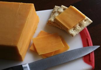 cheddar_cheese
