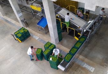 Colombian packinghouse paves way for La Dona limes to the U.S.