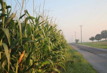 2014-Crop-Tour-Indiana-corn-road