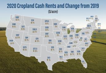 A National Snapshot of Cash Rents