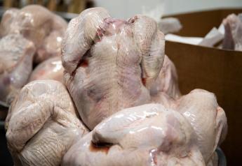 COVID-19 Surge Slices U.S. Demand for Big Thanksgiving Turkeys