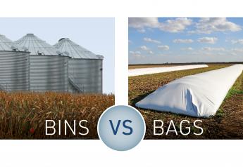 Bins Versus Bags