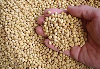 Bayer Signs on to Distribute Enlist E3 Technology, Works toward Launch of HT4 Soybeans