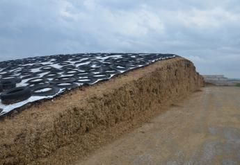 Be Mindful of Mycotoxin Risk in New Silage