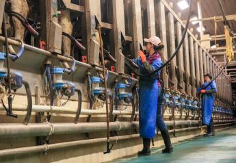5 Practices to help Dairy Producers reduce Somatic Cell Counts