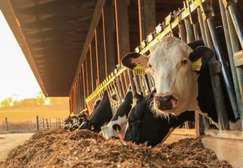 Dairy Feed Co-products: The Ultimate Recycling Story