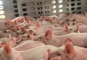 How Will the Disrupted Holiday Week Impact the Pork Market in the Weeks Ahead?