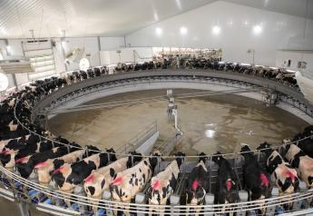 October Report Highlights Milk Production Increases 