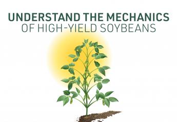 Farm Journal Associate Field Agronomist Missy Bauer says maximizing yields requires a complete understanding of the soybean plant.