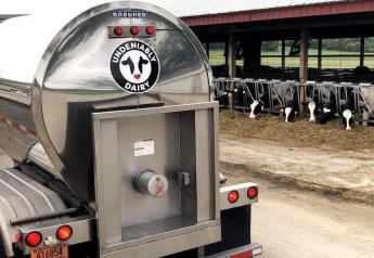 Dairy Economists Answer Three Buzzing Market Security Questions  