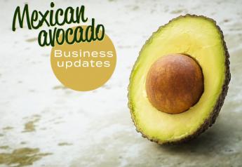 Mexican avocado business updates 
