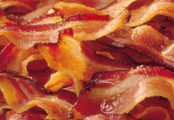 Ernst Says 'No Way' to Banning Iowa Bacon