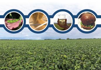 Specialty soybeans provide profit opportunity.