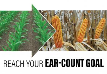 How to Reach Your Ear Count Goal