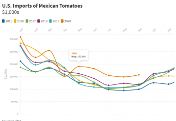 U.S. tomato imports run heavy through south Texas