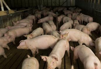 Philippine Pork Industry Unites to Protect Future