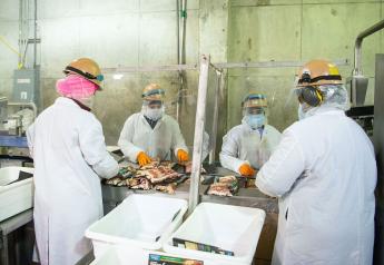 USDA Study Confirms Resiliency of Pork Processors During COVID-19