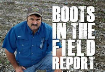 Boots In The Field