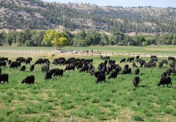 Beartooth Ranch, Montana