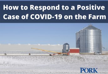 7 Things to Help You Respond to a Positive Case of COVID on the Farm
