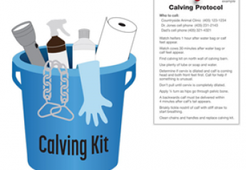 Calving kit