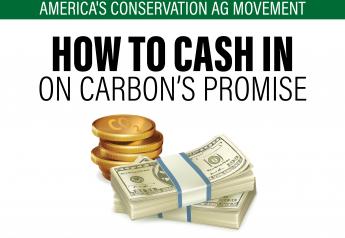 How to Cash in on Carbon’s Promise