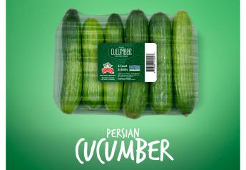 Divine Flavor touts Persian cucumbers