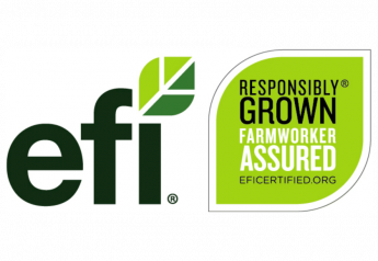EFI grows during challenging year