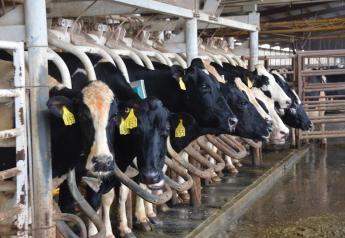 October U.S. Milk Production Report Shows Mediocre Performance 