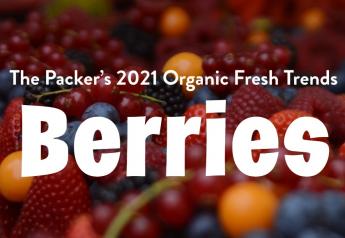 Berry Organic Fresh Trends