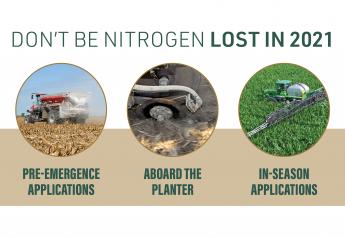 A bad decision with nitrogen won’t cost you yield; it will cost you cold, hard cash.