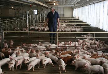 Five Tips to Prevent Quiet Quitting on the Pig Farm