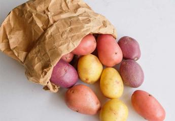 Oregon shows stability in potato acreage, but fresh shipments show variability