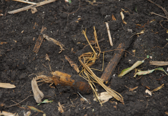 New Biological Supports Soil Health, Improves Crop Residue Breakdown