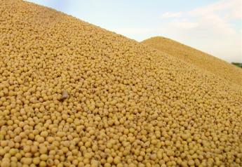 Soybean Oil Use for Biofuels Slips in August