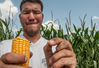 FILE PHOTO: Philip Marek checks his crop in Wharton County, TX