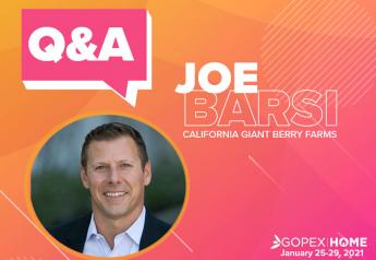 Fun Fact Q&A: Joe Barsi, California Giant Berry Farms