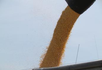 SovEcon Cuts 2022 Ukraine Wheat, Corn Acres, Production