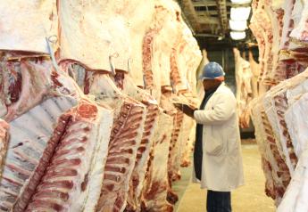 Peel: Beef Exports Bounce Back