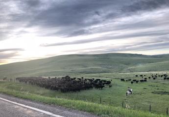 Bair Ranch, Montana