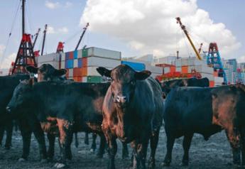 Beef exports topped the $1 billion mark for the first time in August, despite shipping challenge