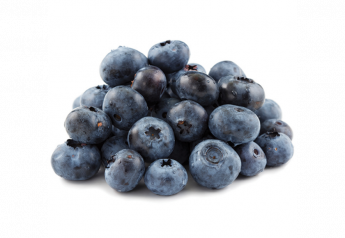 Chilean blueberry exporters expect a similar crop to a year ago