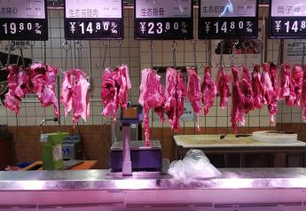 China Meat Supply Revised Up 7% in USDA Report