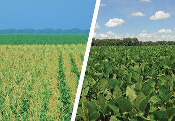 Do You Plant Corn or Soybeans First?