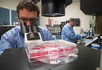 At the Plum Island Animal Disease Center in Orient Point, NY, ARS microbiologists Douglas Gladue (left) and Manuel Borca work on developing candidate vaccines against African swine fever virus, which causes a lethal disease in swine.